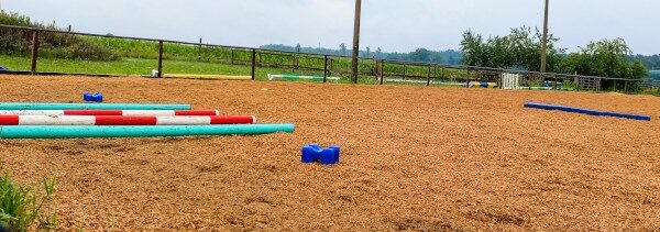 Trainingsstangen und Markierungen für Longierübungen